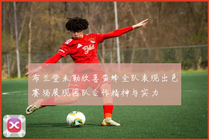布兰登米勒欣喜黄蜂全队表现出色赛场展现团队合作精神与实力
